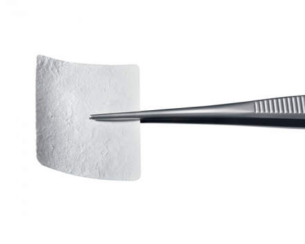 Creos xenoprotect collagen мембрана 15 x 20 mm
